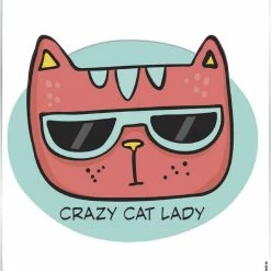 Hot Stuff Sticker Crazy Cat Lady SH2163