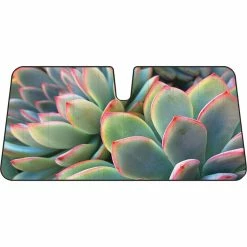 Sperling Enterprises Succulent Sunshade - Fashion, Accordion, Front